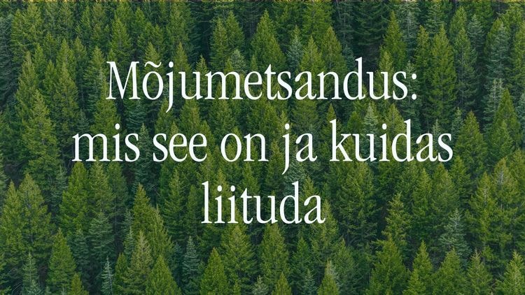 Mõjumetsandus: mis see on ja kuidas liituda