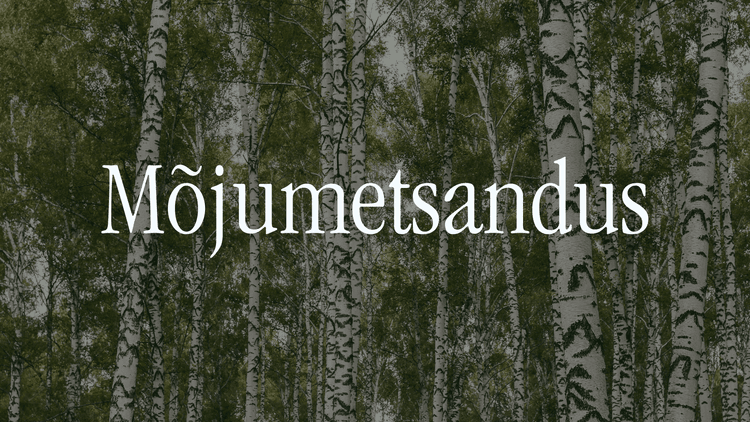 Mõjumetsandus