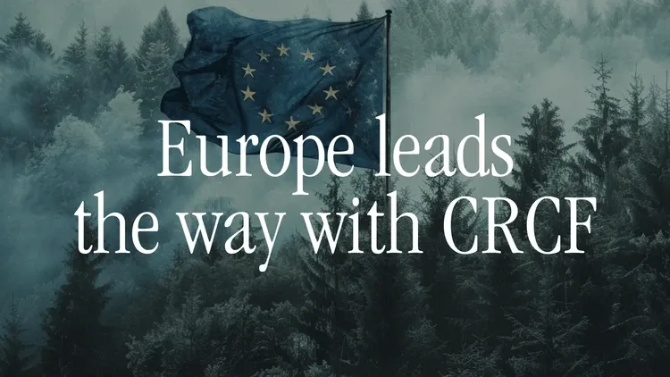EU flag in a forest