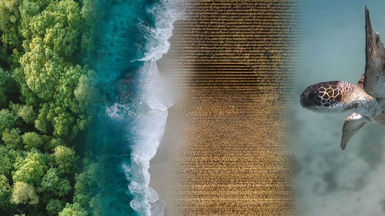 What is nature tech?