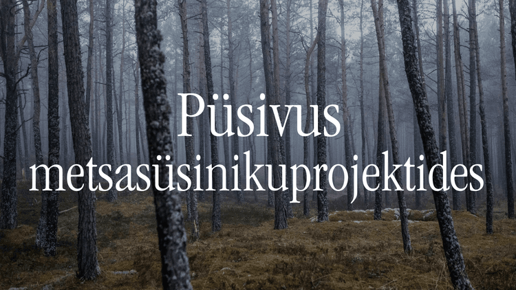 permanence in forest carbon projects_ET.png